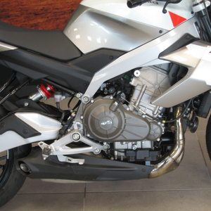 Aprilia tuono 457 puma grey (5)