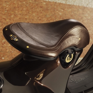 Vespa horse fw25 04 r5 4x5 300dpi