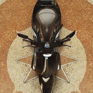 Vespa horse fw25 05 r5 4x5 300dpi