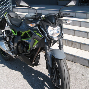 Kawasaki z 125 grigio verde 2023 (2)